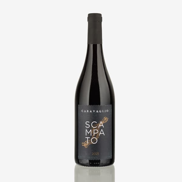 'Scampato' Salina Rosso Igt image preview