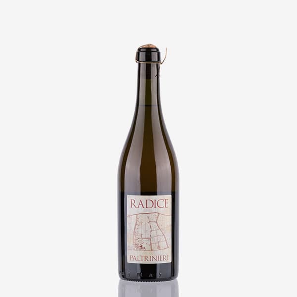 'Radice' Lambrusco di Sorbara Doc image preview